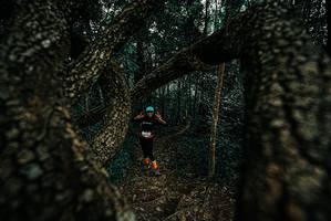 BIB: 
                            <button type="button" onclick="openModal(25677780)" class="btn btn-primary btn-sm float-right btn-popup" data-toggle="modal" data-target=".modal-high-quality">
                        <i class="fas fa-shopping-cart"></i> Add to Cart
                    </button>
                                            <button type="button" onclick="isThisMe(25677780, true)" class="btn btn-success btn-sm float-right btn-popup btn-isme hidden" data-toggle="tooltip" data-placement="bottom" title="นี่คือรูปของคุณใช่ไหม คลิกที่นี่เพื่อเอาเข้าอัลบั้ม">
                        <i class="fas fa-plus"></i> Add to album
                    </button>
                    <button type="button" onclick="isThisMe(25677780, false)" class="btn btn-warning btn-sm float-right btn-popup btn-isnotme hidden">
                        <i class="fas fa-ban"></i> Remove from album
                    </button>